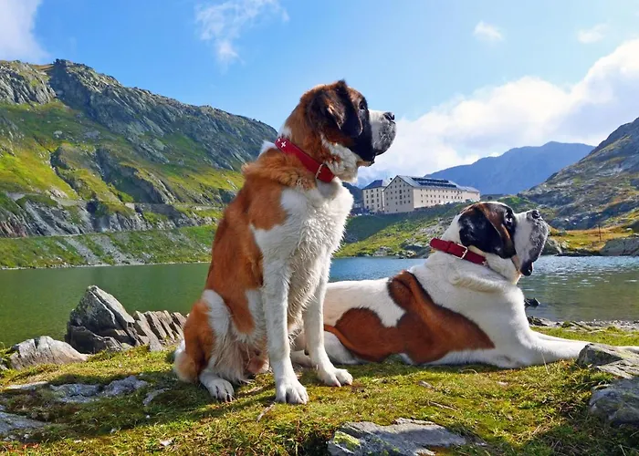 Du Pelerin-chalet De Montagne Jusqu'a 20 Personnes