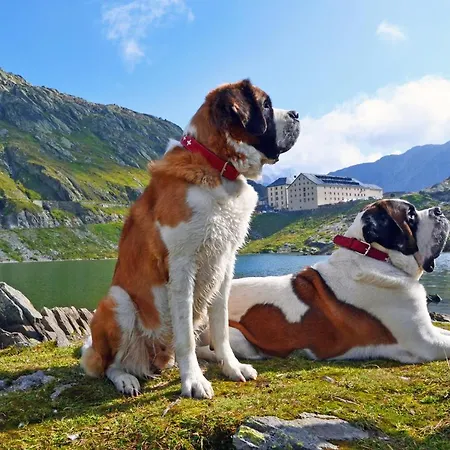 Du Pelerin-chalet De Montagne Jusqu'a 20 Personnes